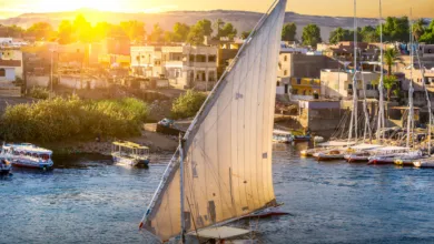 أسوان بلد الضحكة الحلوة.. دليلك لأجمل 5 مزارات في "أسوان" لازم تزورهم 🚣🌴