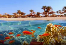 لف مصر من غير فيزا.. دليلك ل أحلى الأماكن السياحية اللي لازم تزورها في بلدنا 🇪🇬✈️