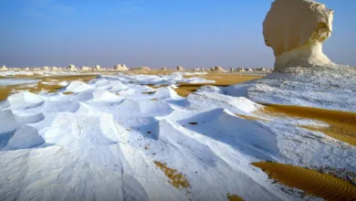 رحلة لـ الواحات البحرية: من كنوز المومياوات الدهب لسحر المريخ في مصر! 🏜️✨