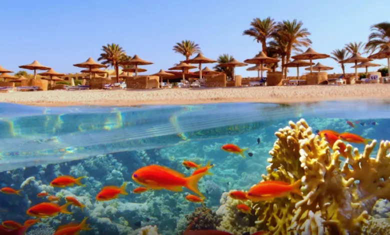 لف مصر من غير فيزا.. دليلك ل أحلى الأماكن السياحية اللي لازم تزورها في بلدنا 🇪🇬✈️